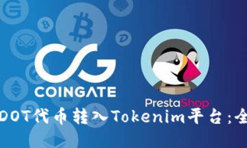 如何将DOT代币转入Tokenim平台：全面指南